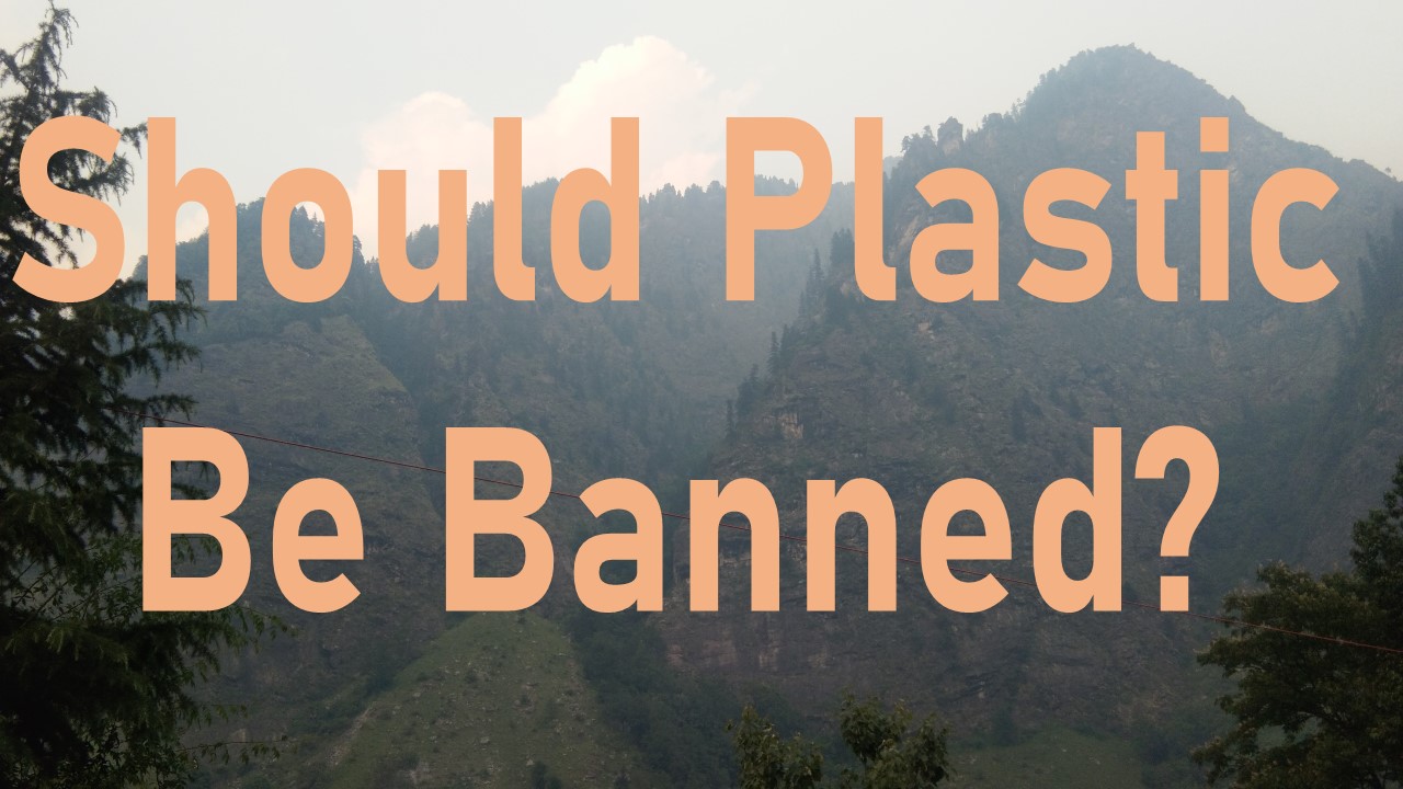 Should Plastic Be Banned?