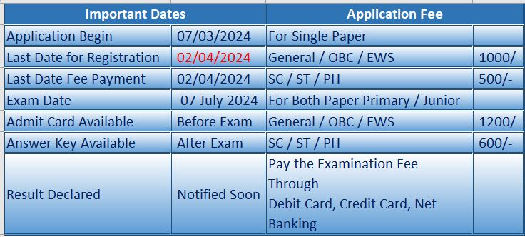 CTET Information