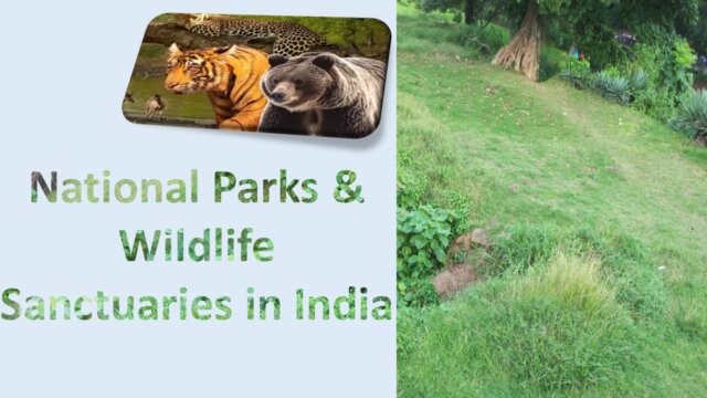 National Parks in India