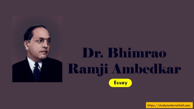 Essay On Dr. B. R. Ambedkar